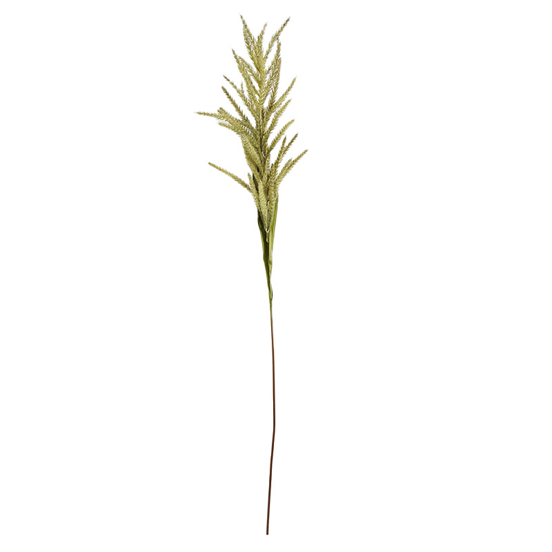 人造花,芦苇茎133 cm -绿色- gs - 35121012 - g1